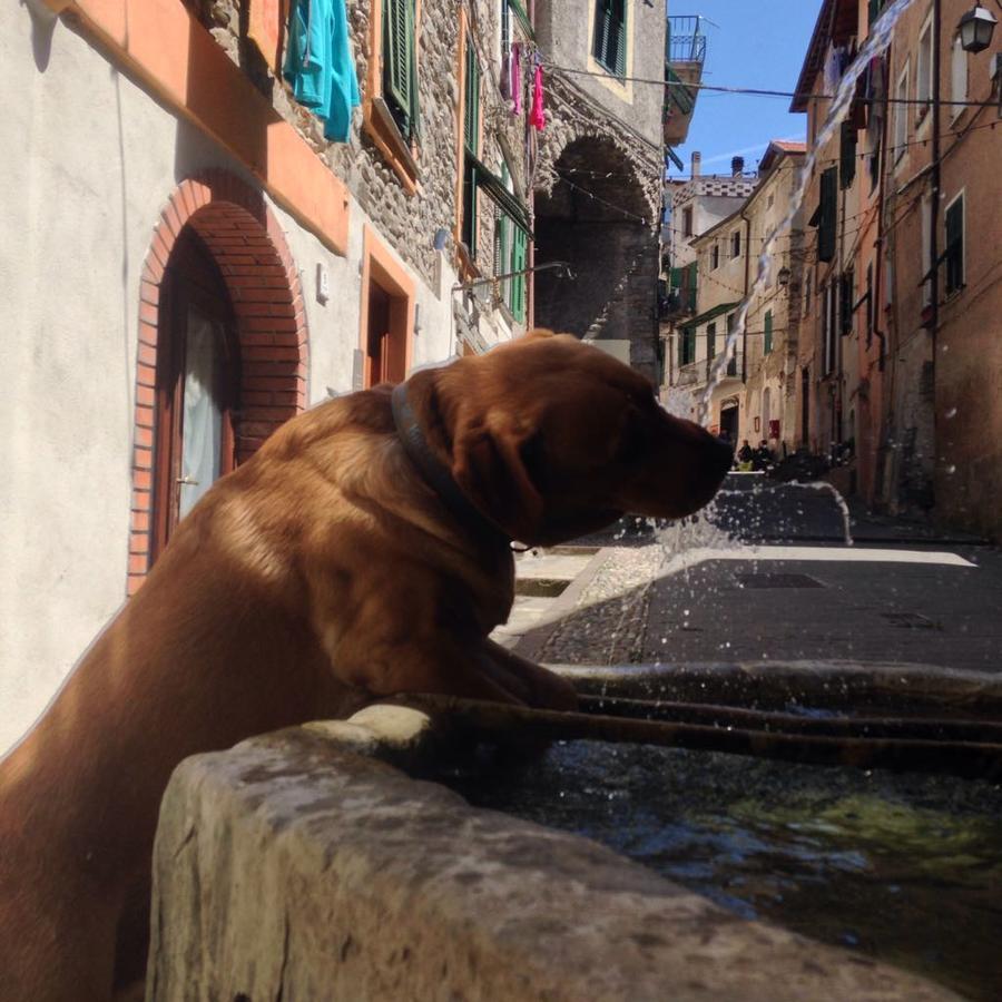 La Torre Panzió Dolceacqua Kültér fotó